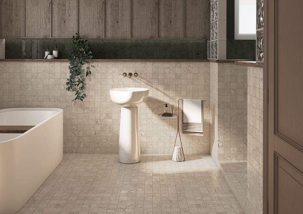 DORSET TAU - Imagen 2