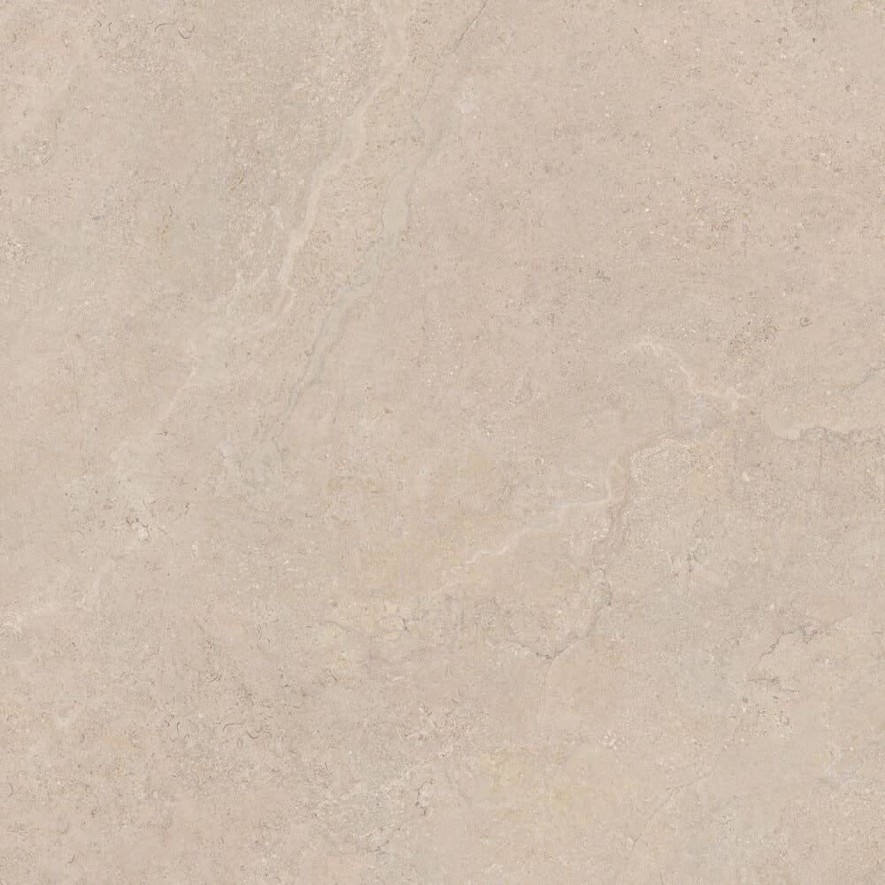 DORSET TAU - Imagen 6