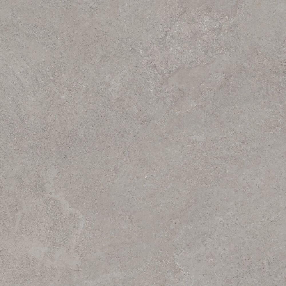 DORSET TAU - Imagen 5